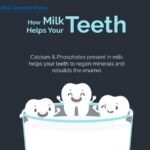 The Importance of Milk Teeth | Soulful Dental Care